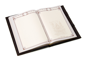 Ежедневник «Санкт-Петербург»