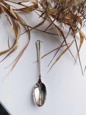 Серебряный набор «Меридиан» 6 чайных ложек