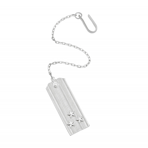 Серебряный ионизатор воды «Погон»