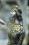 Серебряный подстаканник «Василиса Прекрасная» Серебряный подстаканник «Василиса Прекрасная»