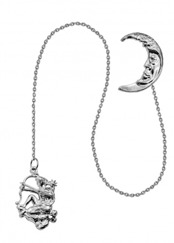 Ионизатор воды из серебра «Зодиак Стрелец»