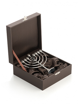 Ханукия серебряная